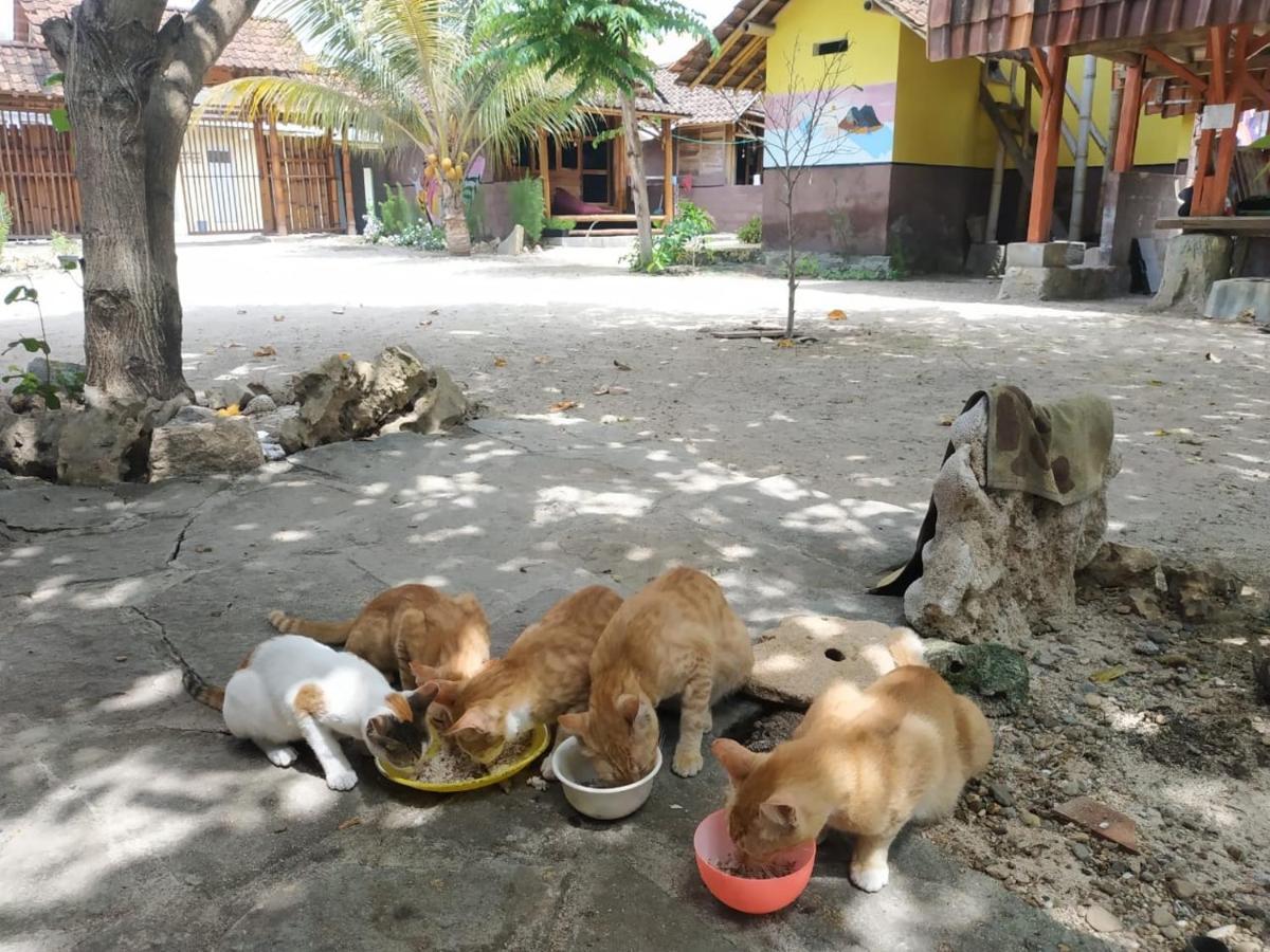 Harry'S Ocean House Watukarung Homestay Kalak Exteriör bild